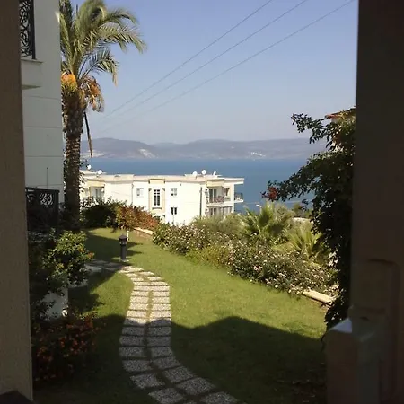 Seaview 1
